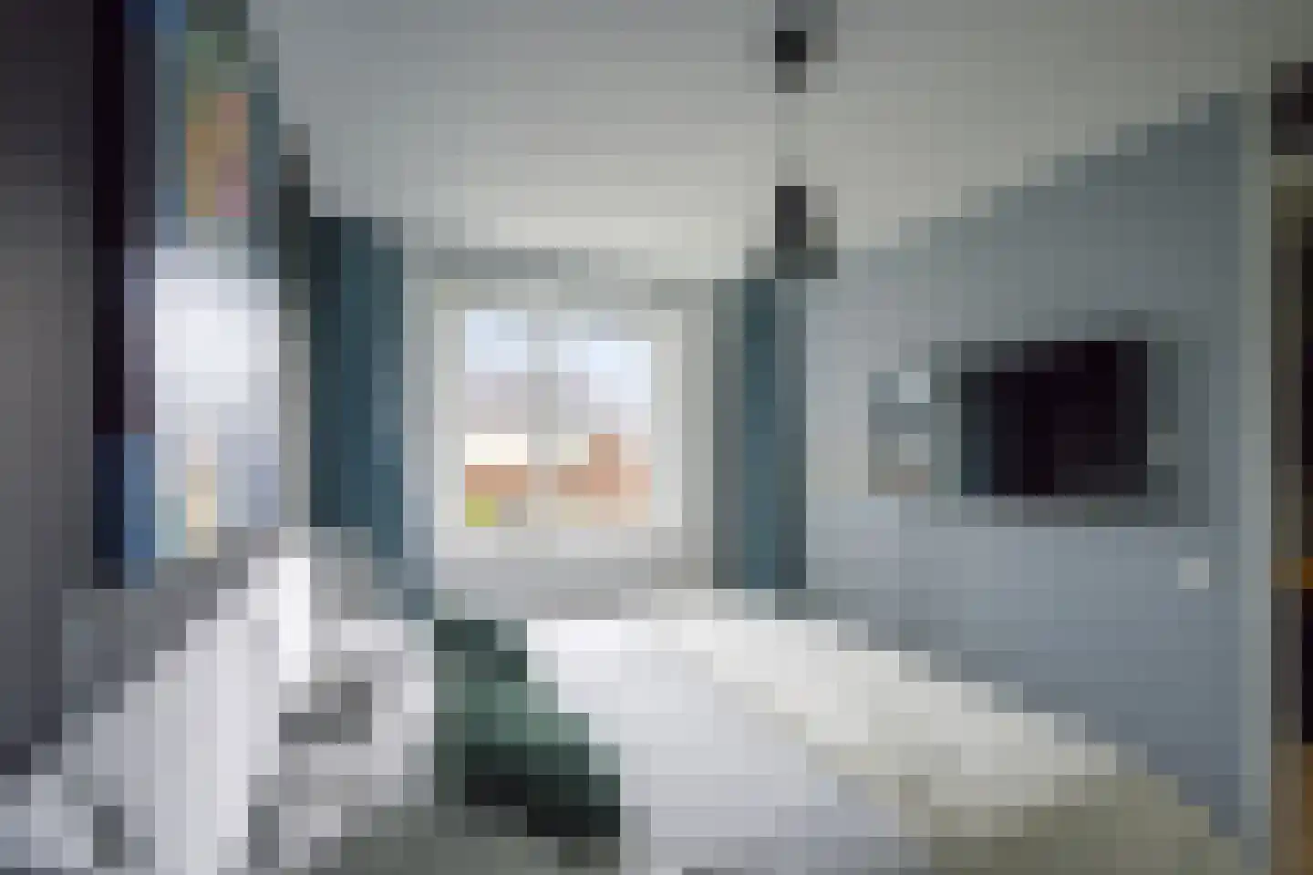 Koewei 13 Udenhout thumbnail 21