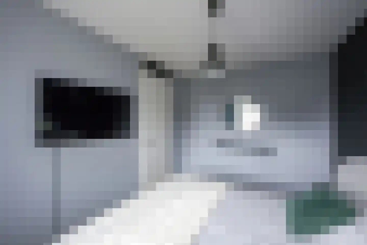 Koewei 13 Udenhout thumbnail 22