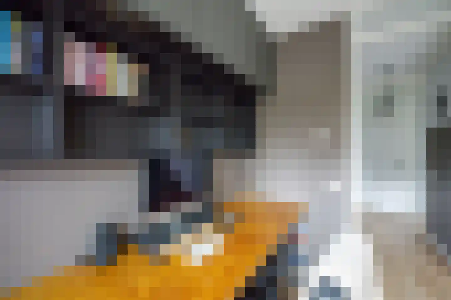 Koewei 13 Udenhout thumbnail 26
