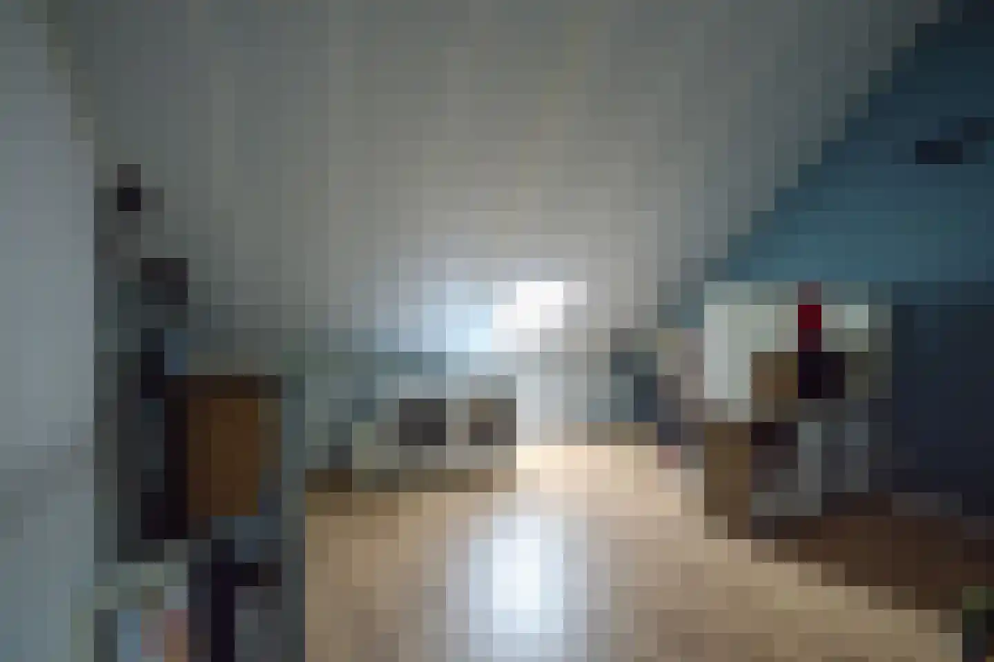 Koewei 13 Udenhout thumbnail 31