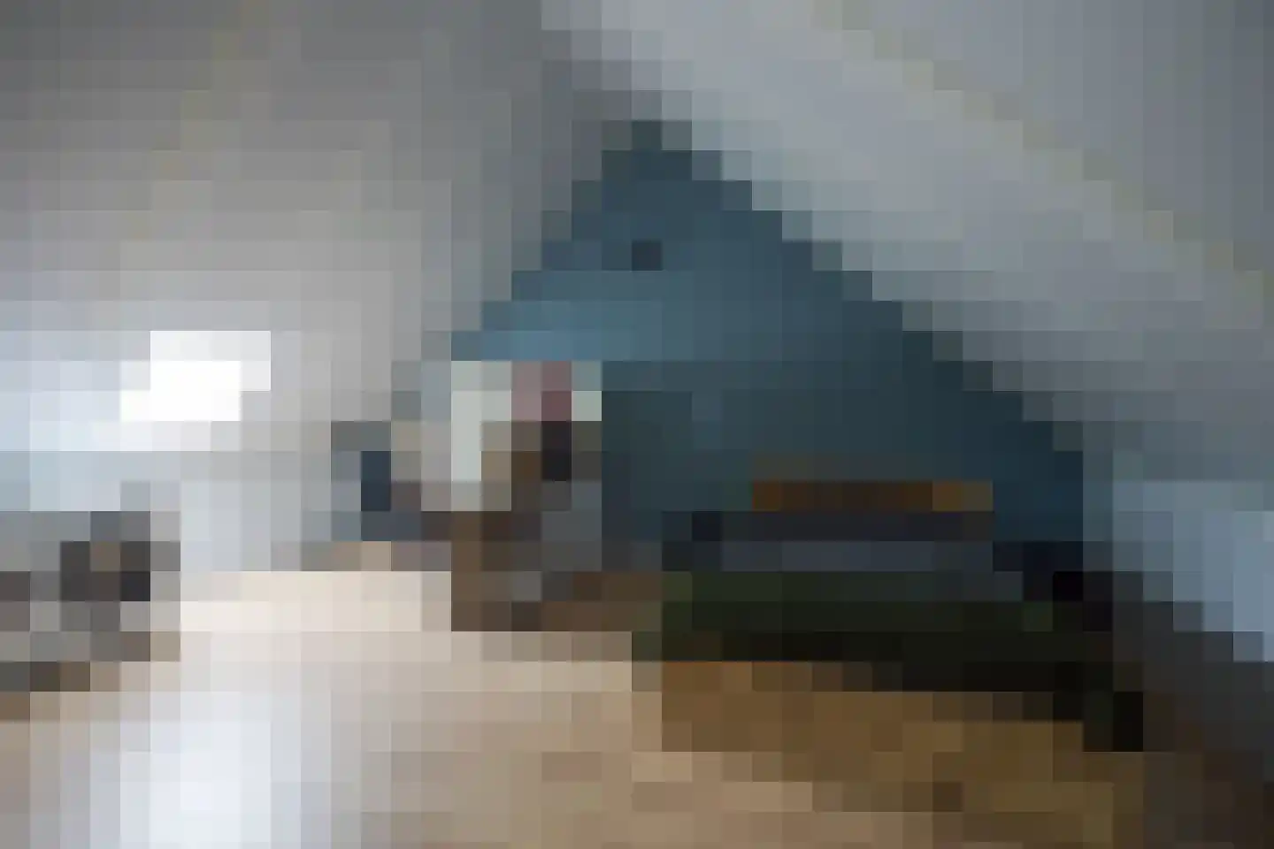 Koewei 13 Udenhout thumbnail 33