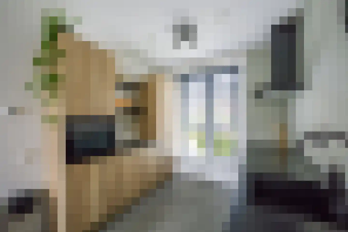Koewei 13 Udenhout thumbnail 4