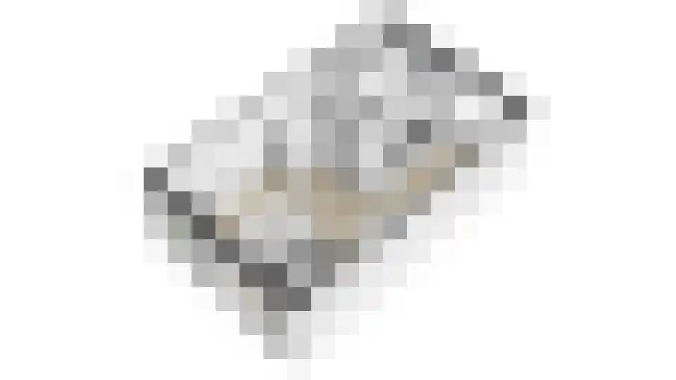 Koewei 13 Udenhout thumbnail 42