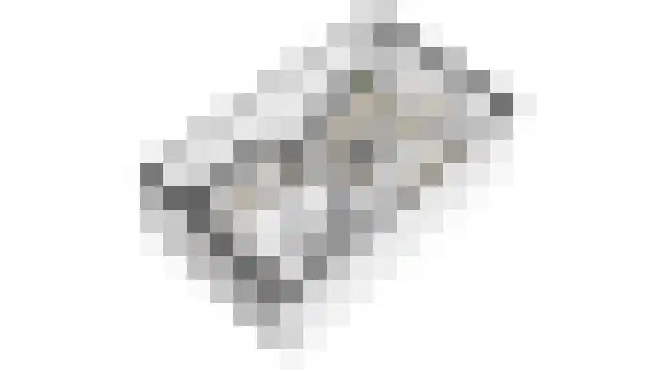 Koewei 13 Udenhout thumbnail 43