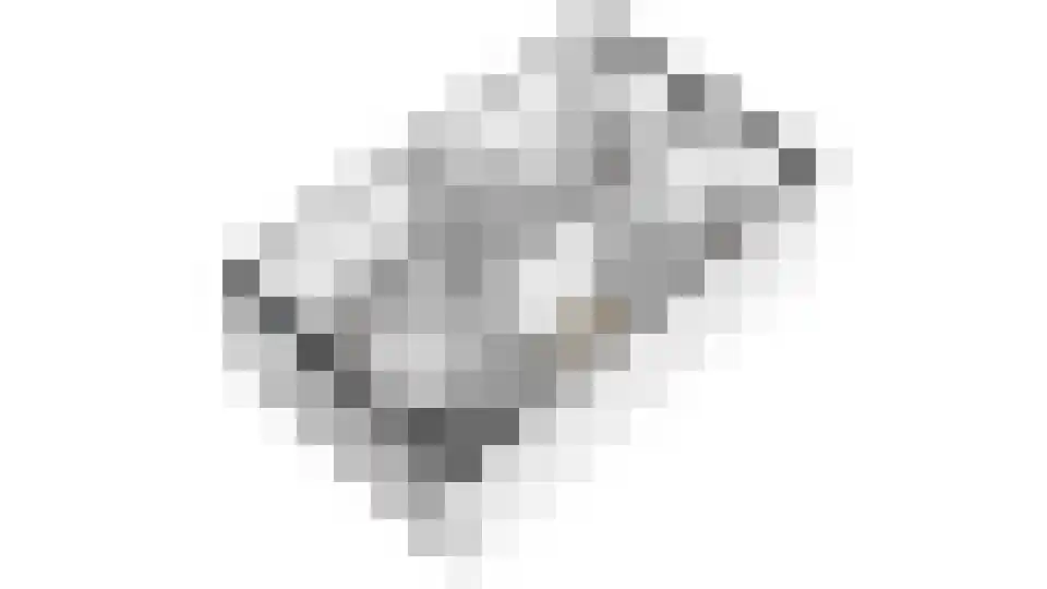 Koewei 13 Udenhout thumbnail 46
