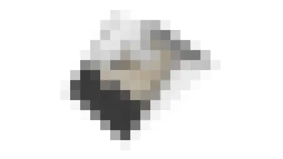 Koewei 13 Udenhout thumbnail 49