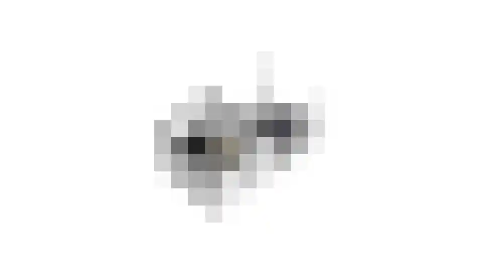 Koewei 13 Udenhout thumbnail 51