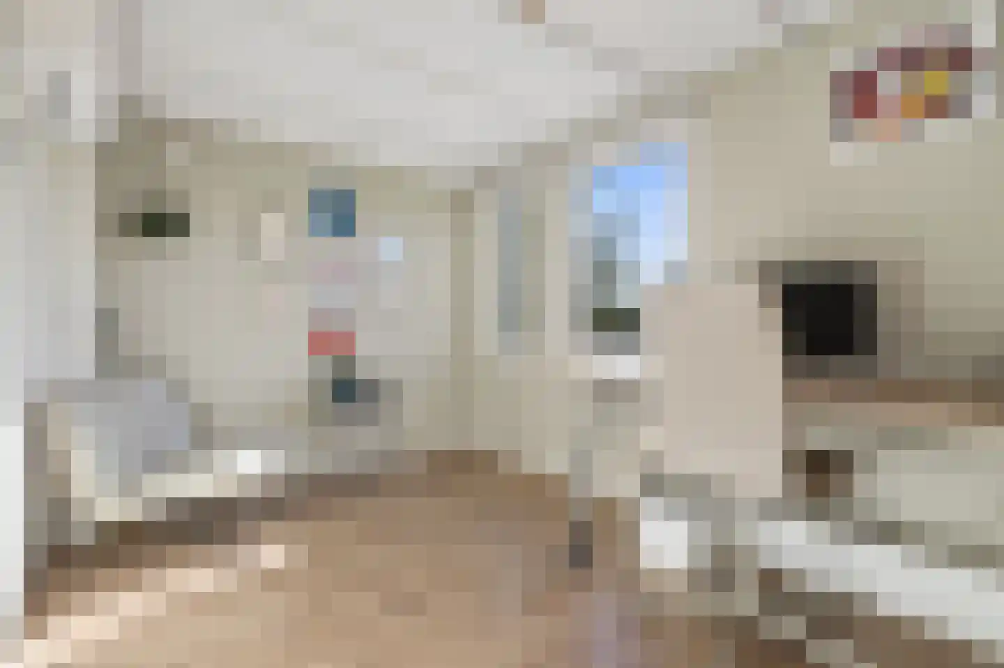 Koewei 33 Arnhem thumbnail 27