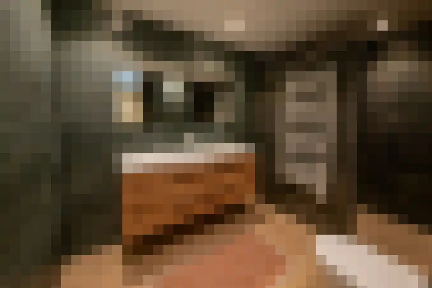 Koewei 56 Arnhem thumbnail 12