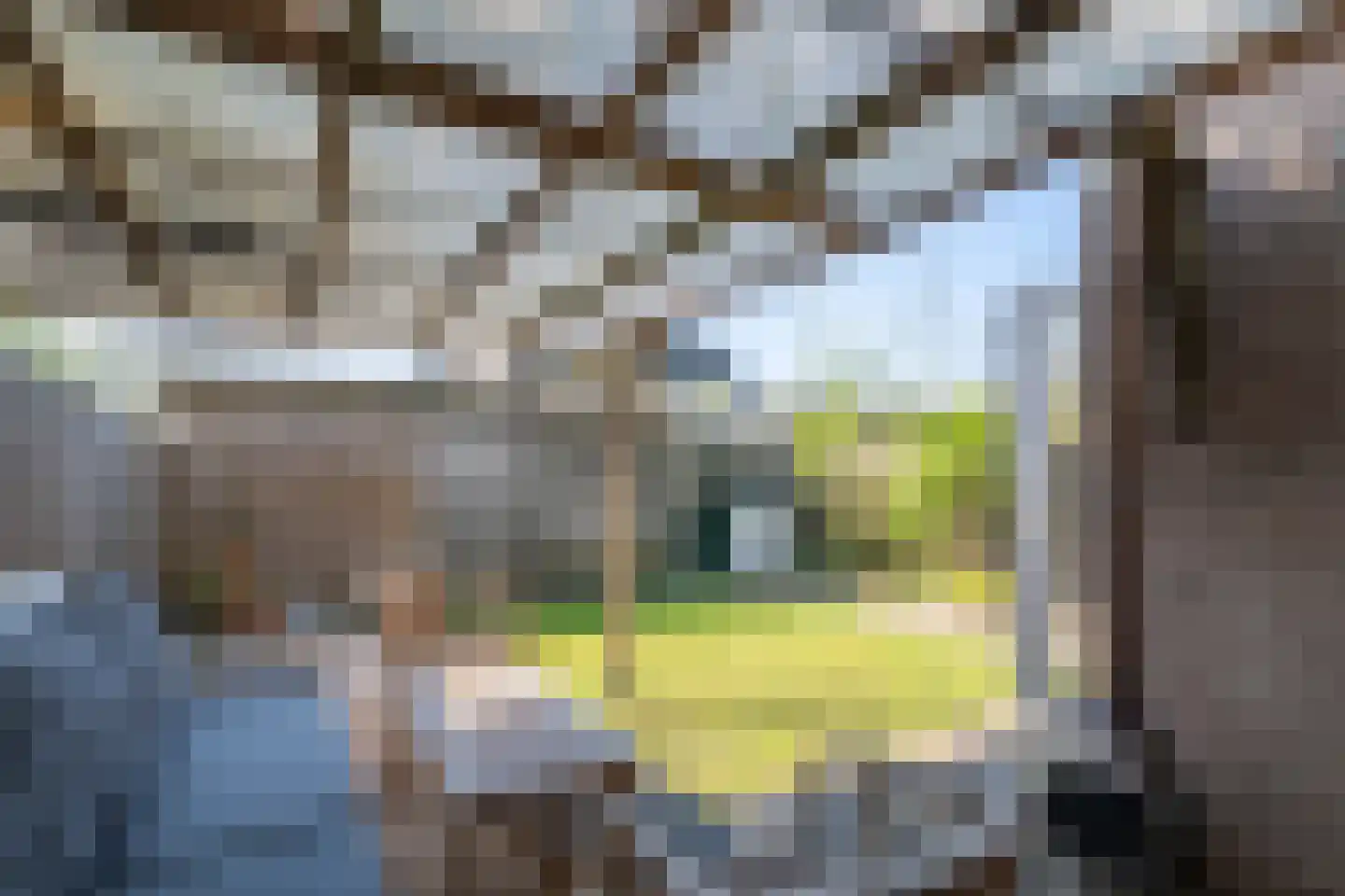 Koewei 56 Arnhem thumbnail 23