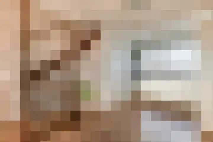 Koewei 93 Arnhem thumbnail 8