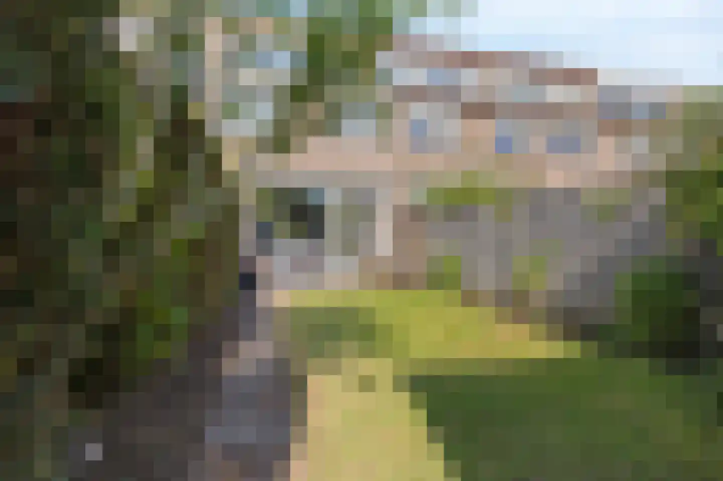 Koeweide 106 Westervoort thumbnail 31