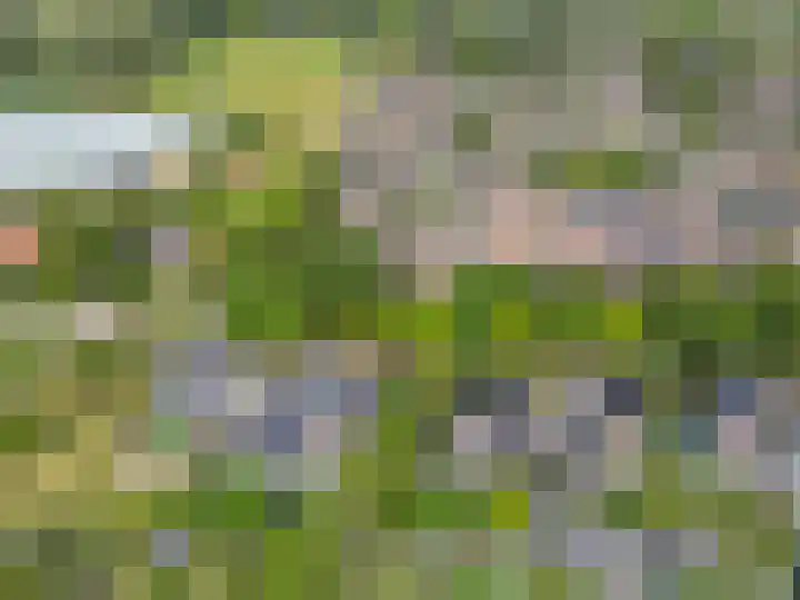 Koeweide 136 Westervoort thumbnail 11