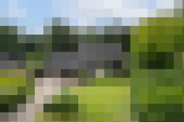 Koeweide 136 Westervoort thumbnail 17