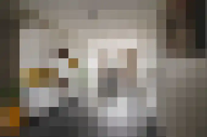 Koeweide 18 Meteren thumbnail 10