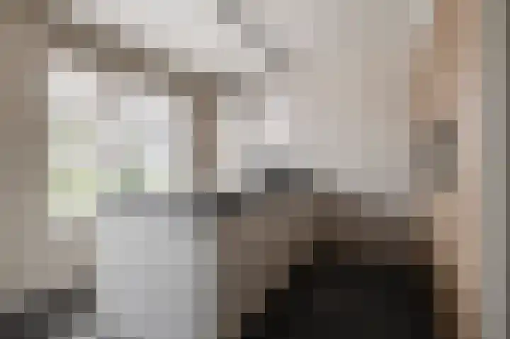 Koeweide 18 Meteren thumbnail 13
