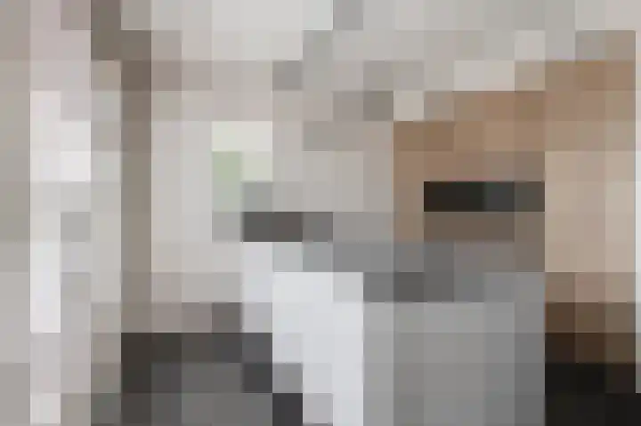 Koeweide 18 Meteren thumbnail 14