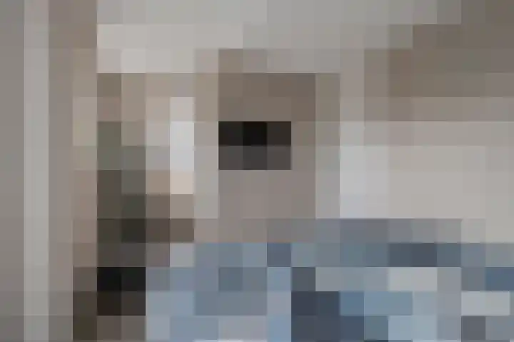 Koeweide 18 Meteren thumbnail 19