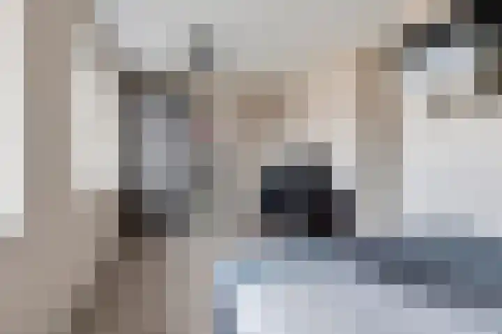 Koeweide 18 Meteren thumbnail 22