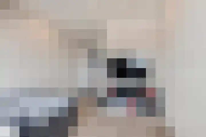 Koeweide 18 Meteren thumbnail 28