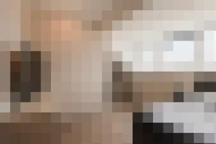 Koeweide 18 Meteren thumbnail 31