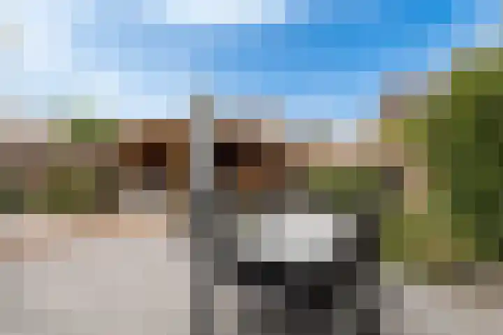 Koeweide 18 Meteren thumbnail 34