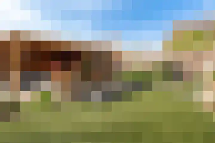 Koeweide 18 Meteren thumbnail 35