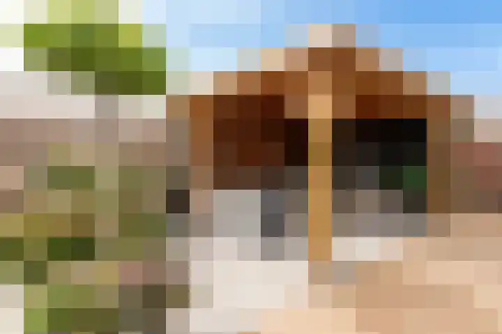 Koeweide 18 Meteren thumbnail 37