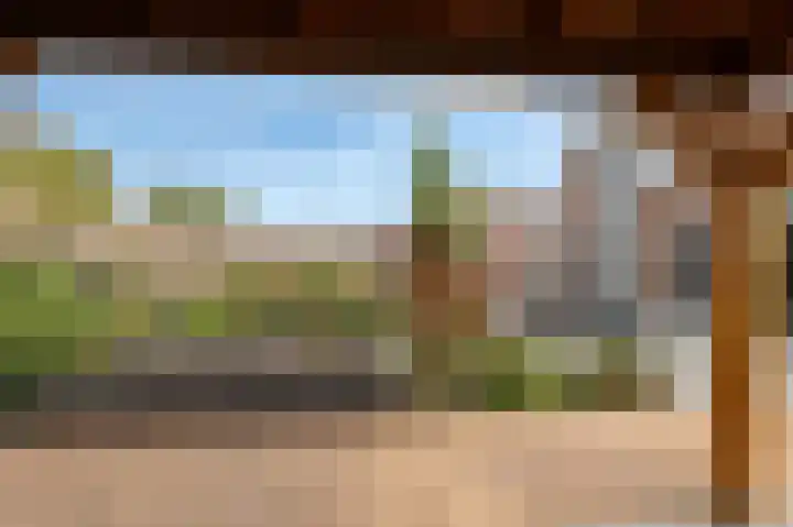 Koeweide 18 Meteren thumbnail 39