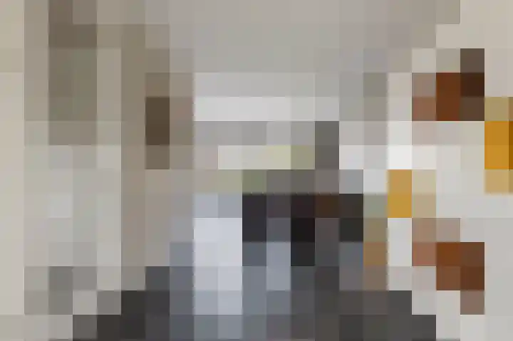 Koeweide 18 Meteren thumbnail 4