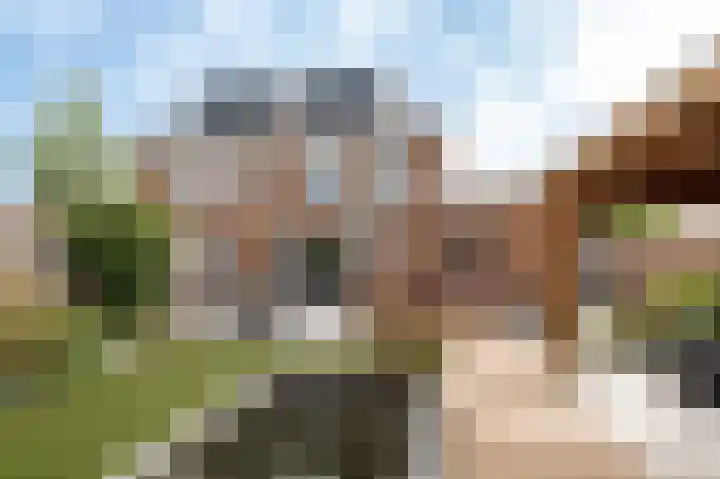 Koeweide 18 Meteren thumbnail 40