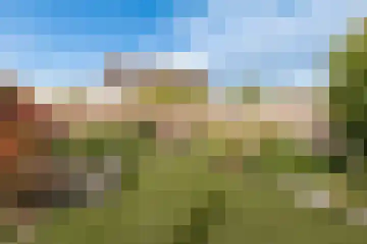 Koeweide 18 Meteren thumbnail 41