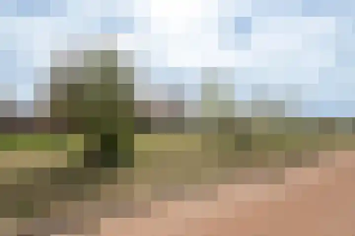Koeweide 18 Meteren thumbnail 42