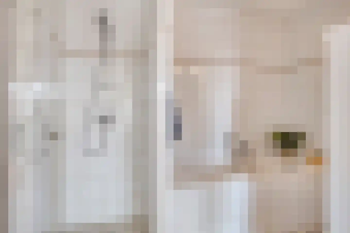 Koeweide 24 Aalten thumbnail 19