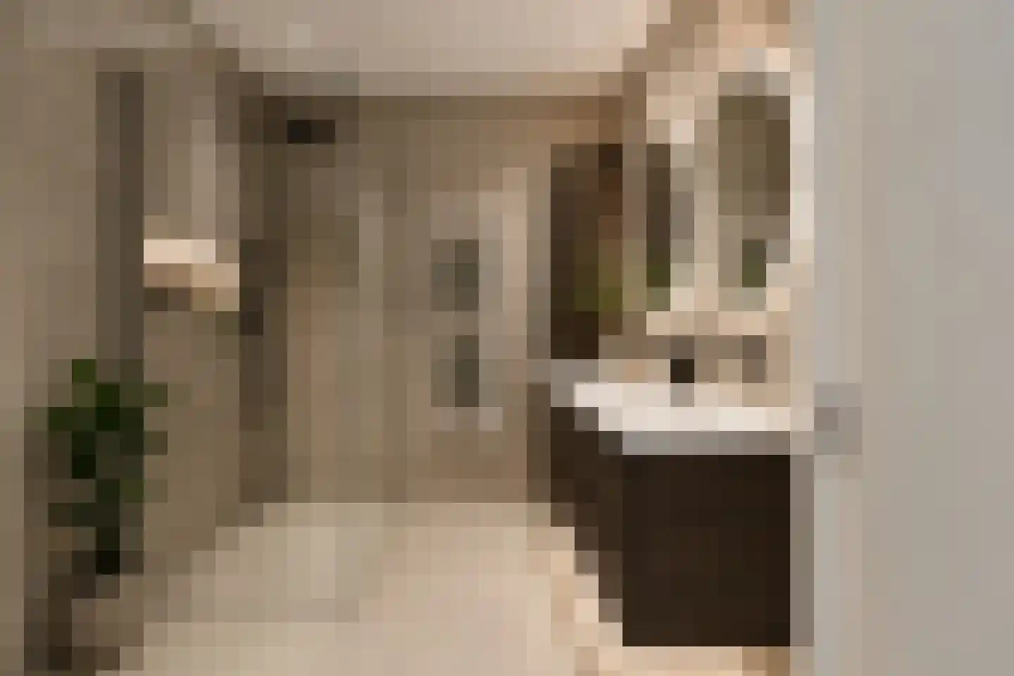 Koeweide 24 Aalten thumbnail 22