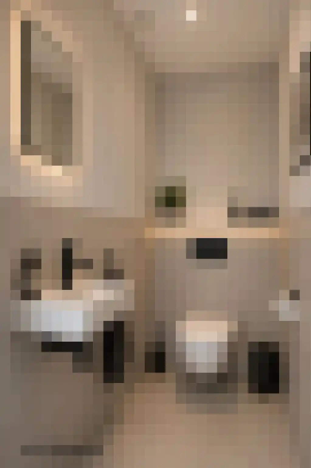 Koeweide 24 Aalten thumbnail 24