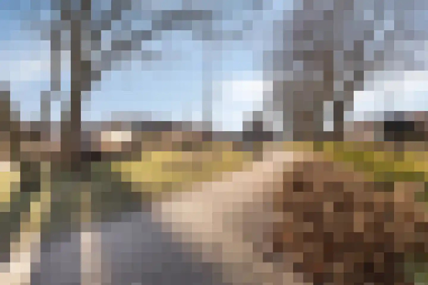 Koeweide 24 Aalten thumbnail 41
