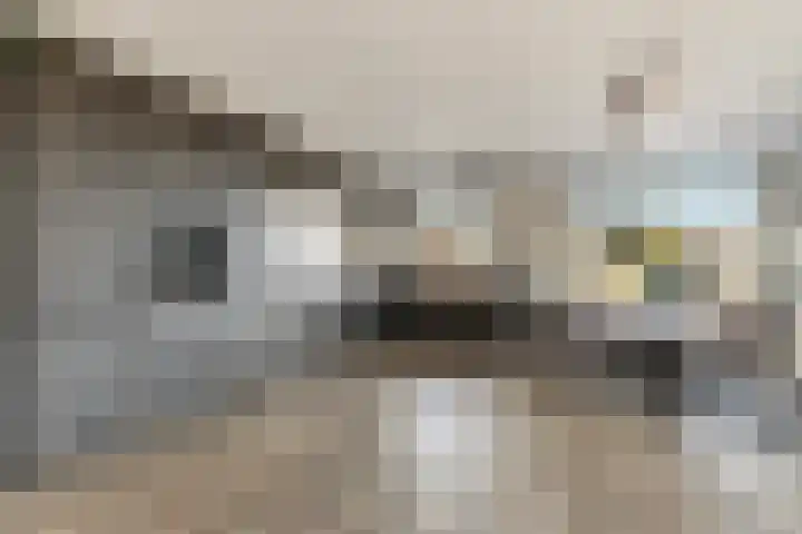Koeweide 30 Aalten thumbnail 17