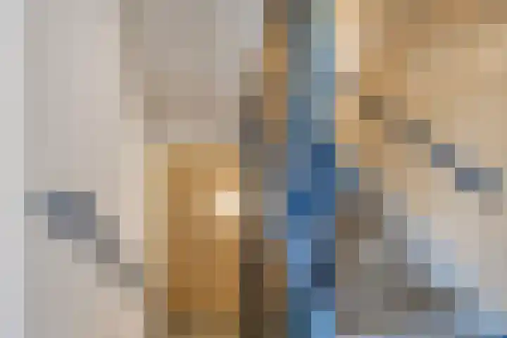 Koeweide 30 Aalten thumbnail 31