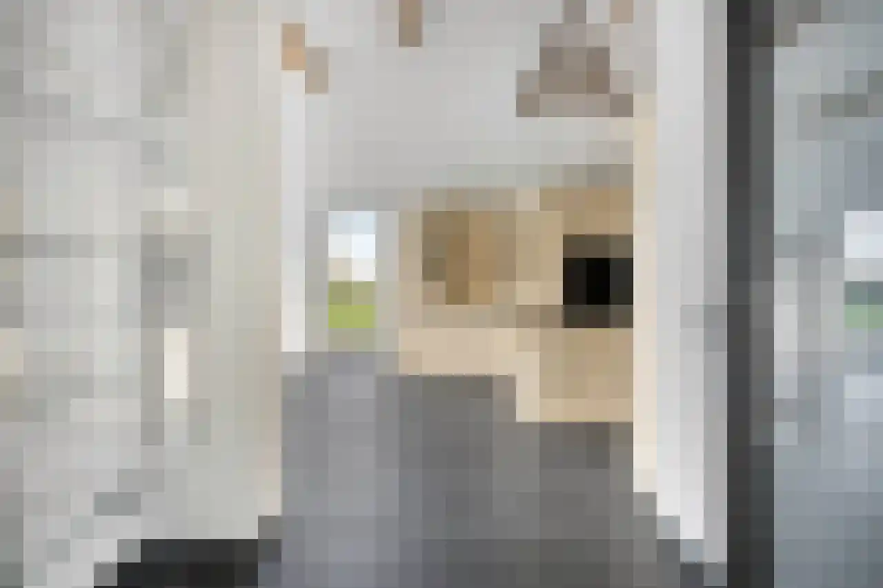 Koeweide 48 Elsloo thumbnail 12