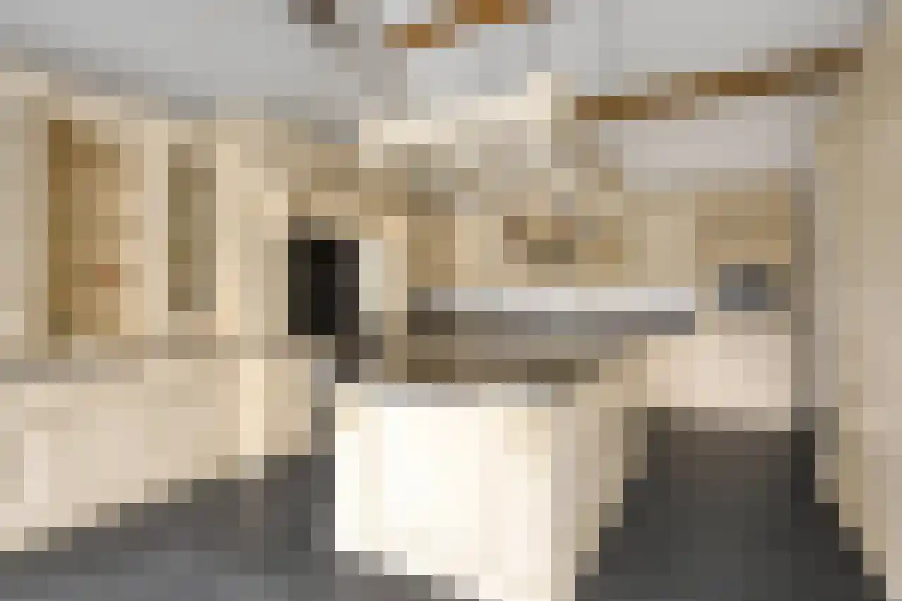 Koeweide 48 Elsloo thumbnail 17