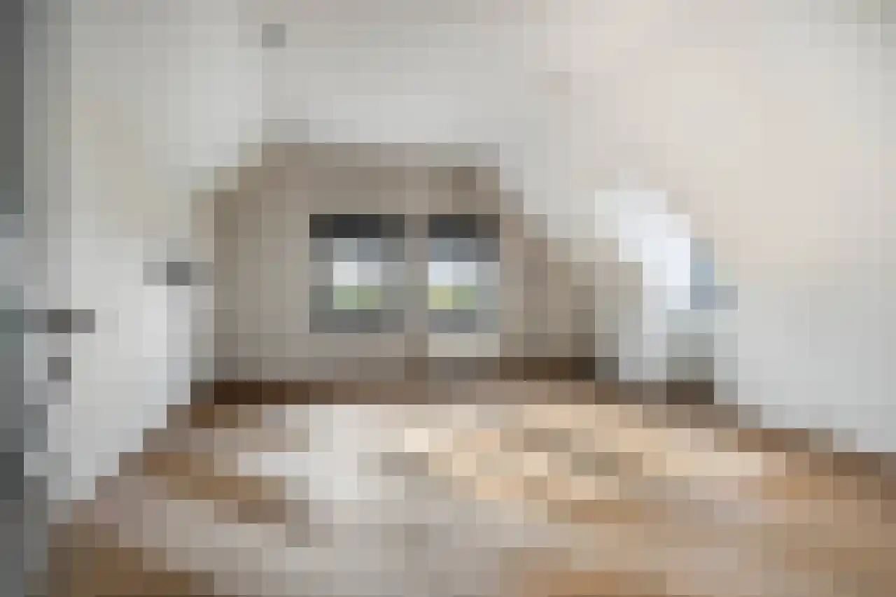 Koeweide 48 Elsloo thumbnail 30