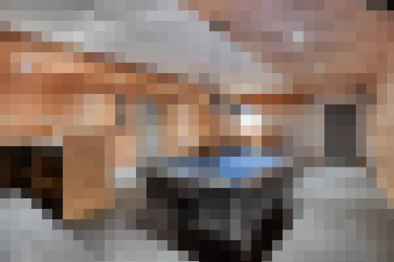 Koeweide 48 Elsloo thumbnail 40