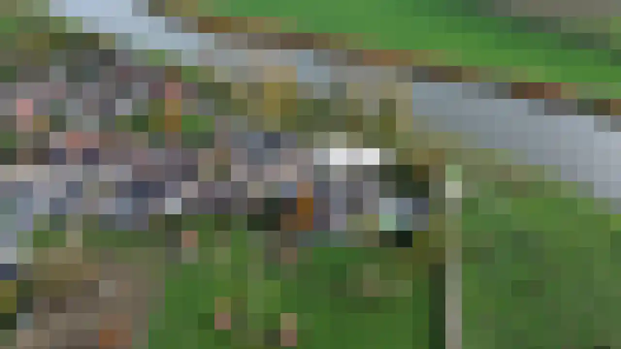 Koeweide 48 Elsloo thumbnail 48