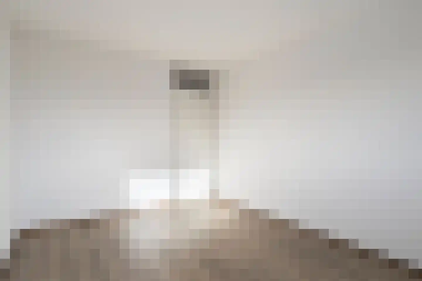 Koeweide 85 Westervoort thumbnail 25