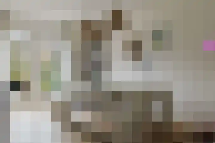 Koeweide 9 Rijsbergen thumbnail 14