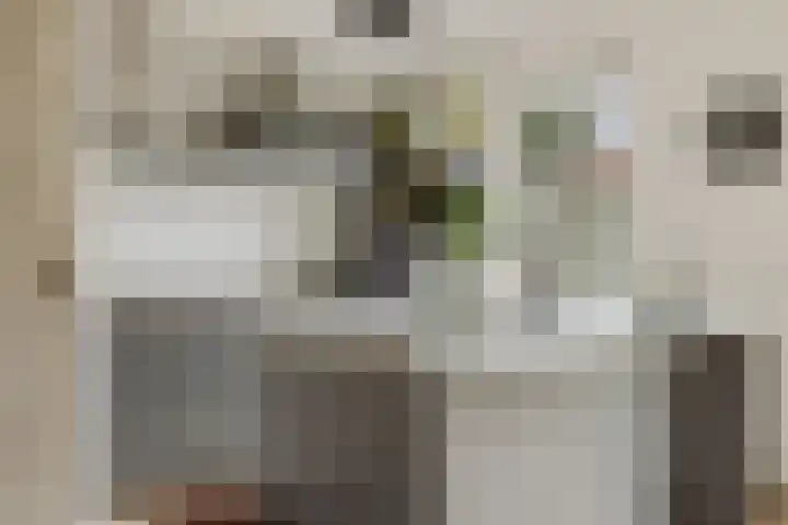 Koeweide 9 Rijsbergen thumbnail 15