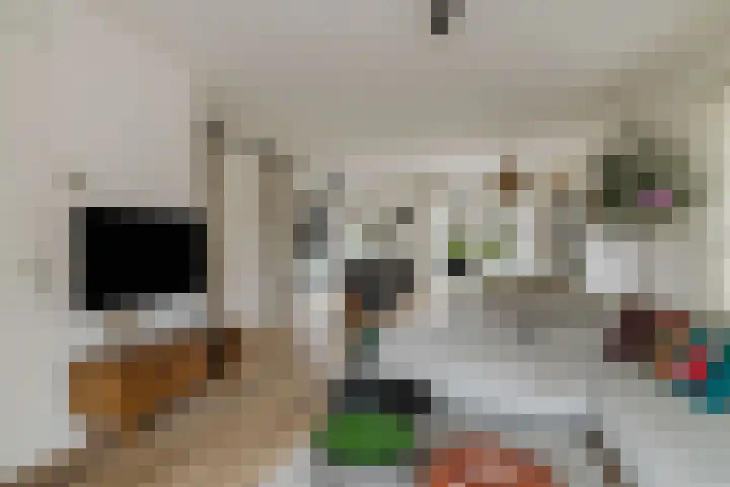 Koeweide 9 Rijsbergen thumbnail 16