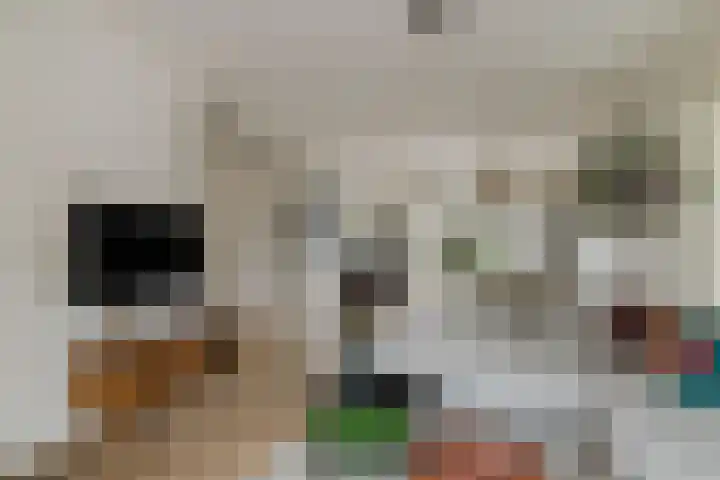 Koeweide 9 Rijsbergen thumbnail 16