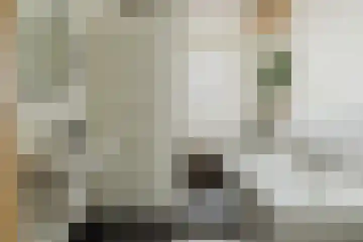 Koeweide 9 Rijsbergen thumbnail 27